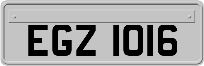 EGZ1016
