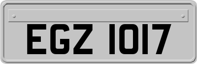 EGZ1017