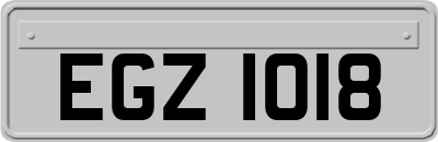 EGZ1018