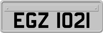 EGZ1021