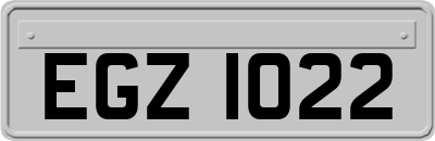 EGZ1022
