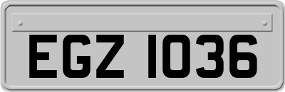 EGZ1036