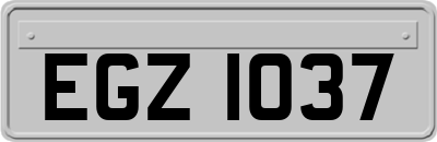 EGZ1037