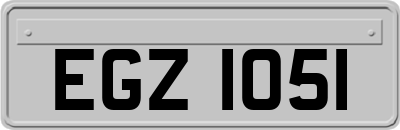 EGZ1051
