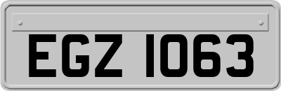 EGZ1063