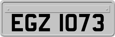 EGZ1073