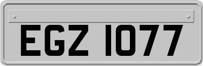 EGZ1077