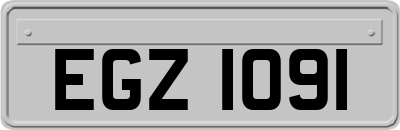 EGZ1091