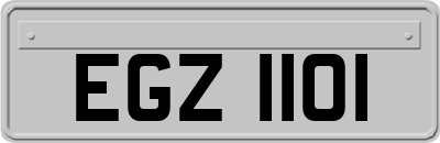 EGZ1101