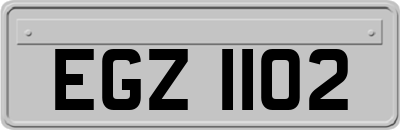 EGZ1102