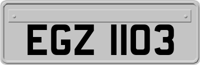 EGZ1103