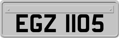 EGZ1105