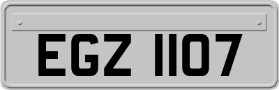 EGZ1107