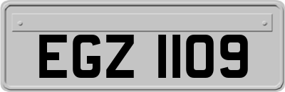 EGZ1109