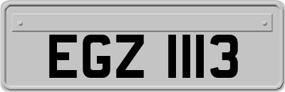 EGZ1113