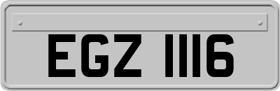 EGZ1116