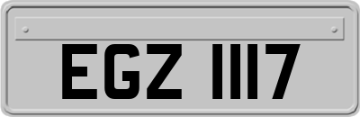 EGZ1117