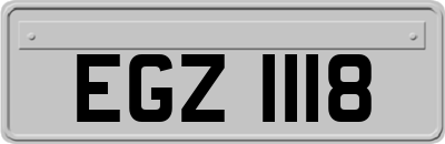 EGZ1118