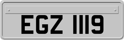 EGZ1119