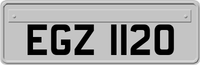 EGZ1120