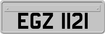 EGZ1121