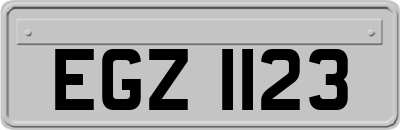 EGZ1123