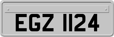 EGZ1124