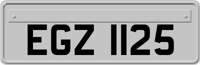 EGZ1125