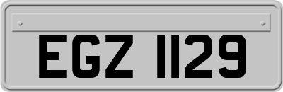 EGZ1129
