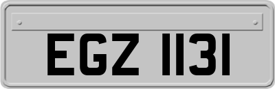 EGZ1131