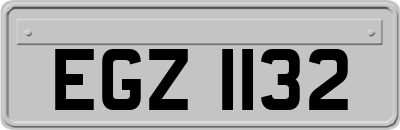 EGZ1132