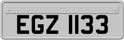 EGZ1133