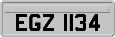 EGZ1134