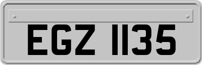 EGZ1135