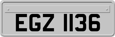 EGZ1136