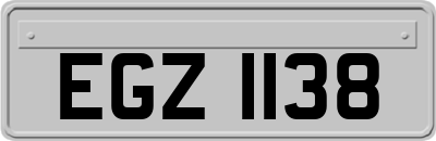 EGZ1138