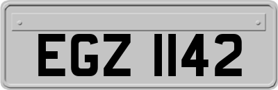 EGZ1142