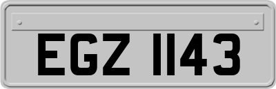 EGZ1143
