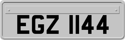 EGZ1144