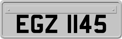 EGZ1145