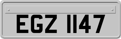 EGZ1147