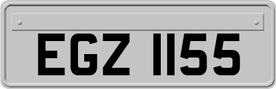 EGZ1155