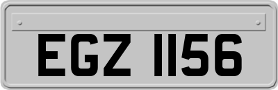 EGZ1156
