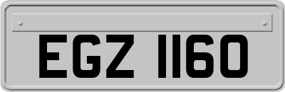 EGZ1160