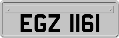 EGZ1161