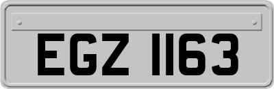 EGZ1163