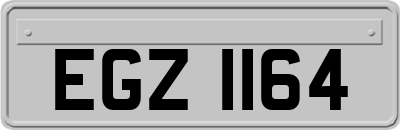 EGZ1164