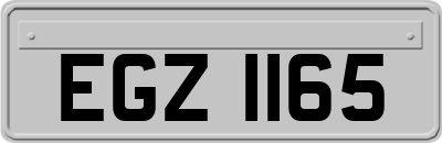 EGZ1165