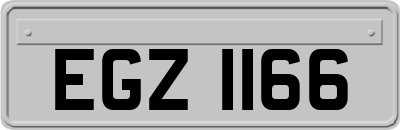 EGZ1166