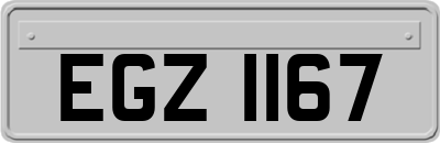 EGZ1167